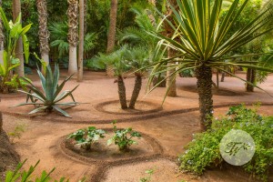 Botanical garden Jardin Majorelle in Marrakesh
