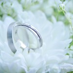 Taj Mahal travel tips