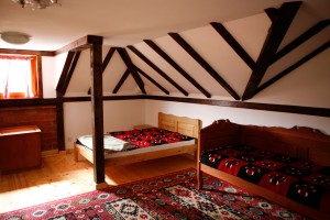 Eko-Village-Kostunici---Tourist-wedding---Serbia-6