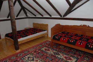 Eko-Village-Kostunici---Tourist-wedding---Serbia-6